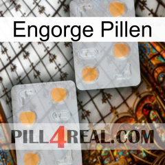 Engorge Pills 25